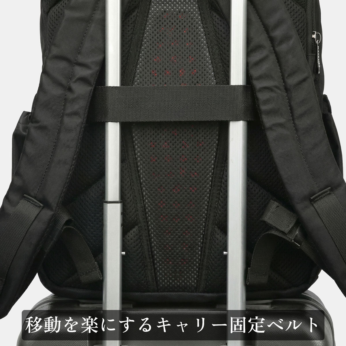 TORO BACKPACK